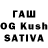 Cannafood конопля Kamila Thasyane