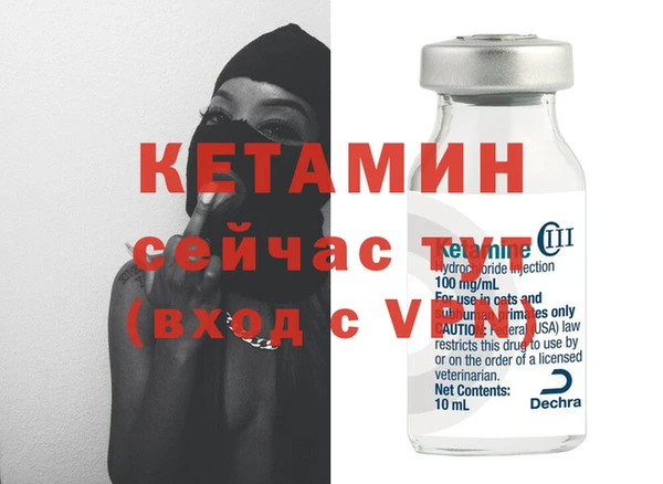 сатива Дмитриев