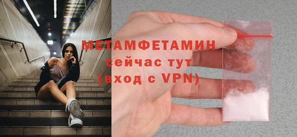 сатива Дмитриев