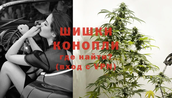 сатива Дмитриев