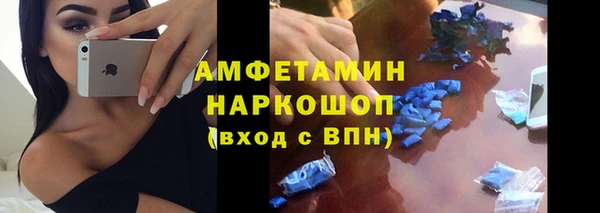 сатива Дмитриев