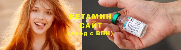 сатива Дмитриев