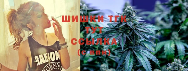 сатива Дмитриев