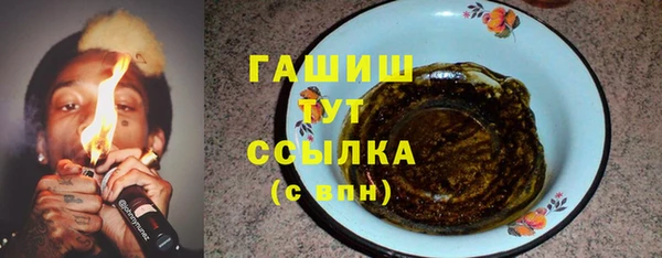 сатива Дмитриев