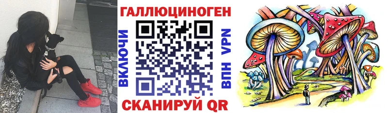 Галлюциногенные грибы GOLDEN TEACHER  Купить где  Камызяк 